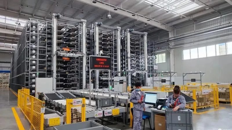 塑料托盘品牌解析：优缺点全面考量